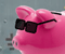 Rich Piggy